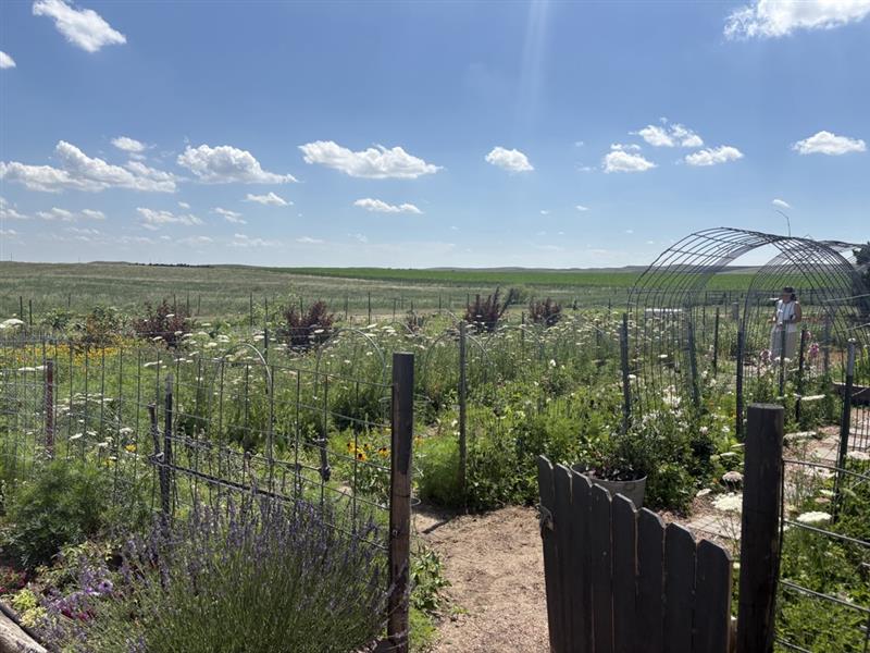 WrayTour-Sandhills Bloomers Flower Garde